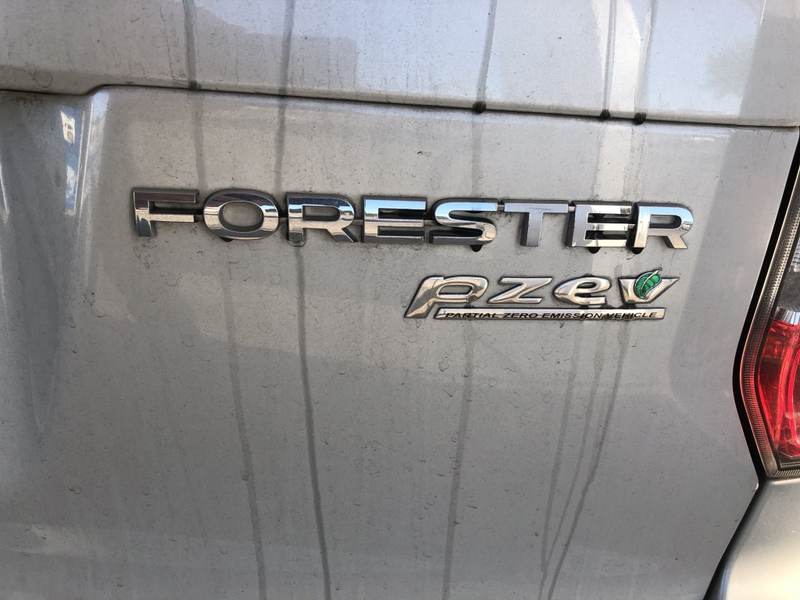 Dirty Forester in need of a bath.